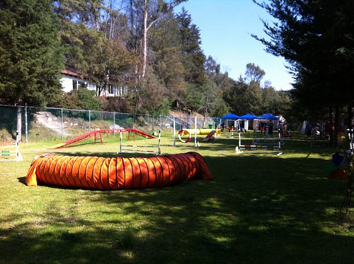 Area de Agilidad