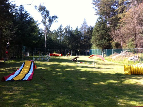 Area de Agilidad