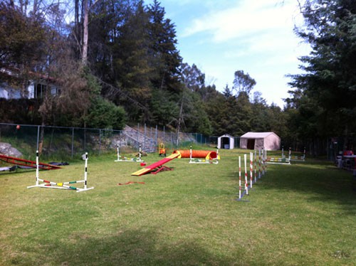 Area de Agilidad