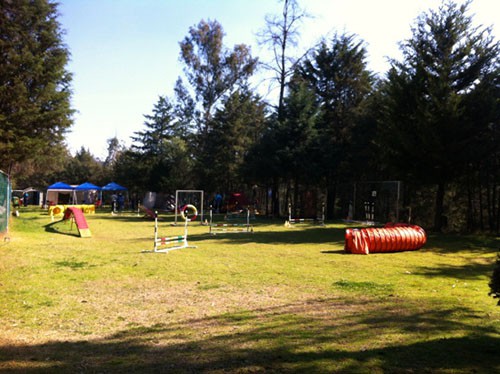 Area de Agilidad