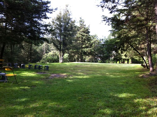 Area de Obediencia